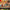 LEGO® ONE PIECE Buggy the Clown’s Circus Tent
