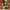LEGO® ONE PIECE The Baratie Floating Restaurant