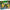 LEGO® Wicked Glinda’s Wedding Day