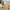 LEGO® Wicked Emerald City & Kiamo Ko Castle