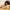 LEGO® Wicked Glinda & Elphaba Visit Munchkinland