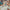 LEGO® Marvel Spider-Man vs. Oscorp