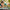 LEGO® Harry Potter™ Hogwarts™ Castle: Herbology Class