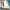 LEGO® Harry Potter™ Privet Drive: Aunt Marge's Visit
