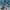 LEGO® Harry Potter™ Hogwarts™ Castle: The Main Tower