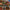 LEGO® Harry Potter™ Hogsmeade™ Village – Collectors' Edition
