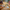 LEGO® Jurassic World™ Dinosaur Missions: Allosaurus Transport Truck