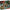 LEGO® Jurassic World T. rex River Escape
