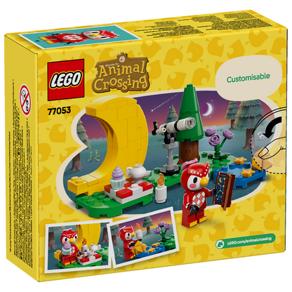 LEGO® 77053 Animal Crossing™ Stargazing with Celeste
