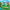 LEGO® Animal Crossing™ Blathers’s Museum Collection