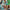 LEGO® Animal Crossing™ Blathers’s Museum Collection