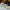LEGO® Animal Crossing™ Blathers’s Museum Collection