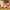 LEGO® Animal Crossing™ Creative Houses: Seasons of Fun