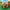LEGO® Animal Crossing™ Goldie’s Cosy House