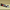 LEGO® Speed Champions Audi Revolut F1® Team R26 Race Car