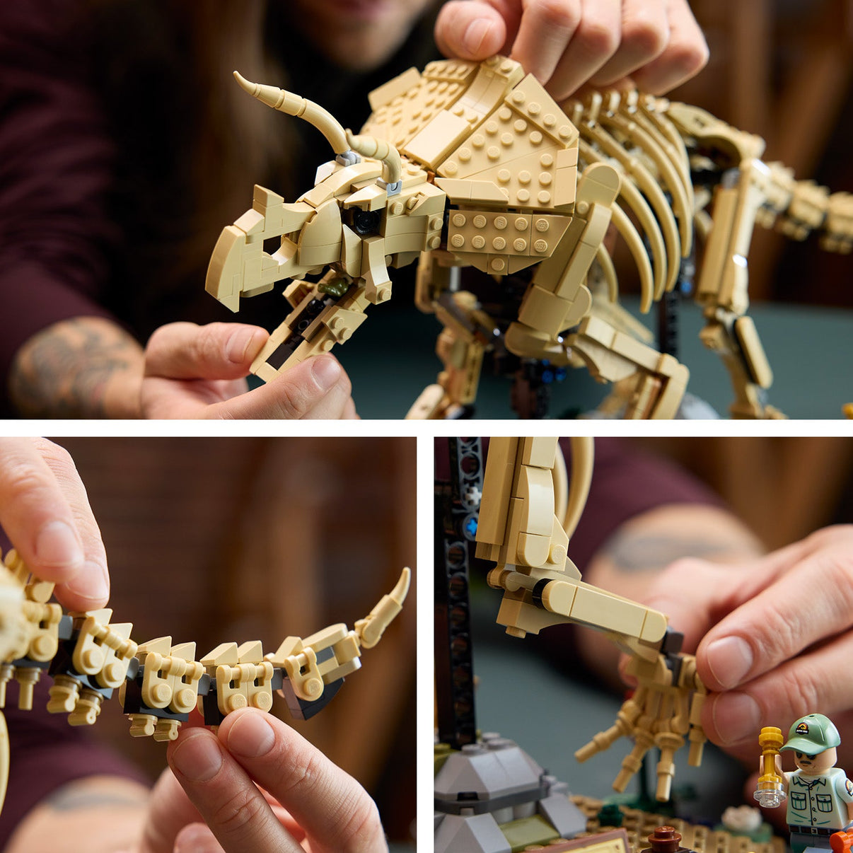 LEGO® Jurassic World Dinosaur Fossils: Triceratops
