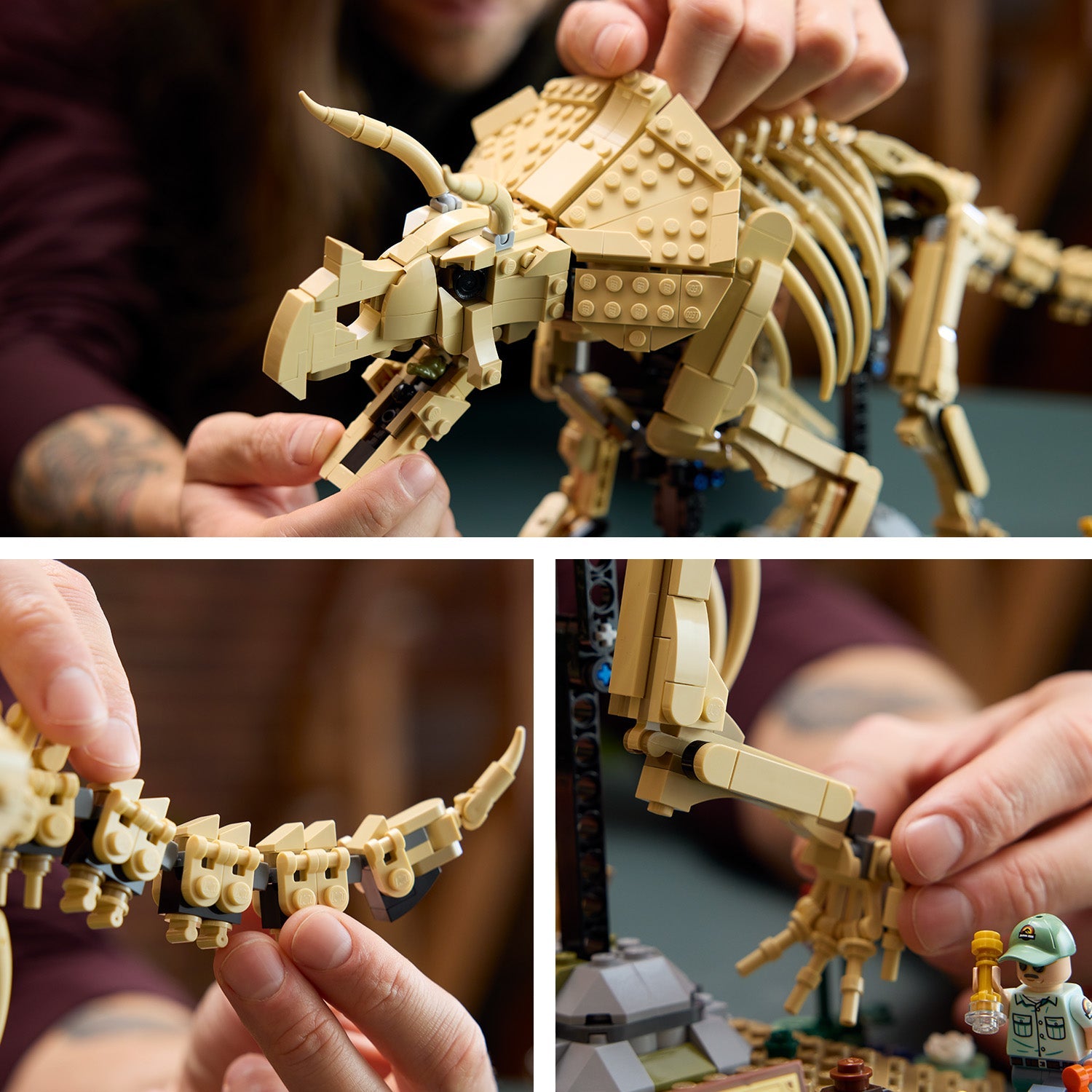 LEGO® Jurassic World Dinosaur Fossils: Triceratops