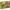 LEGO® Creator 3-in-1 Beautiful Horse