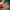 LEGO® Festive Gingerbread House