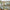 LEGO® Icons The Lord of the Rings™: Rivendell™