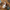 LEGO® Ideas Gremlins™ Gizmo