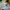 LEGO® Creator Iconic Ferris Wheel