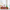 LEGO® Wicked Glinda & Elphaba’s Dormitory