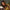 LEGO® Ideas Home Alone