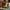 LEGO® Ideas Home Alone
