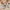 LEGO® Speed Champions Koenigsegg Jesko