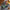 LEGO® Icons Land Rover Classic Defender 90